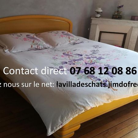 La Villa Des Chats Andresy Exterior photo