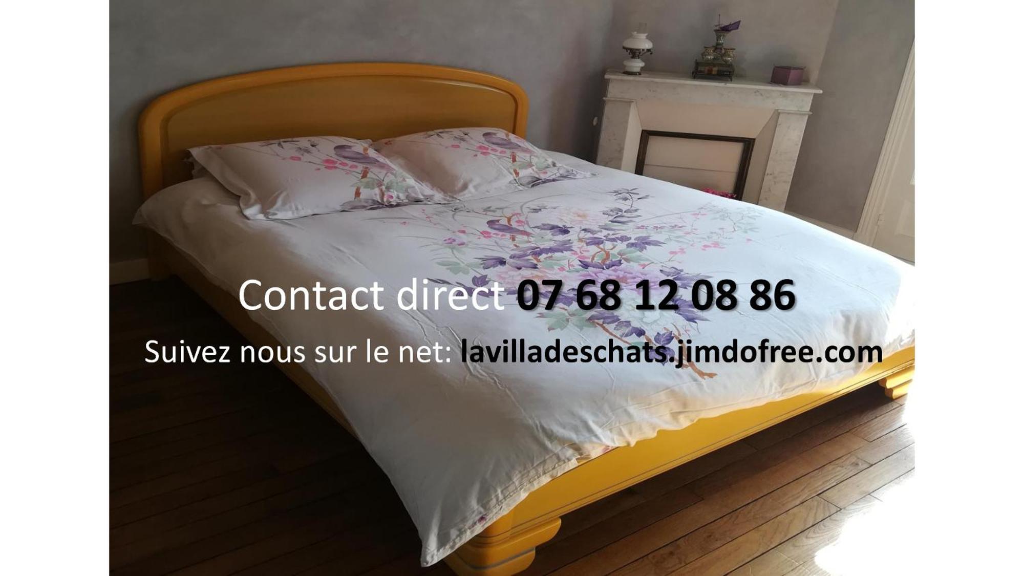 La Villa Des Chats Andresy Exterior photo