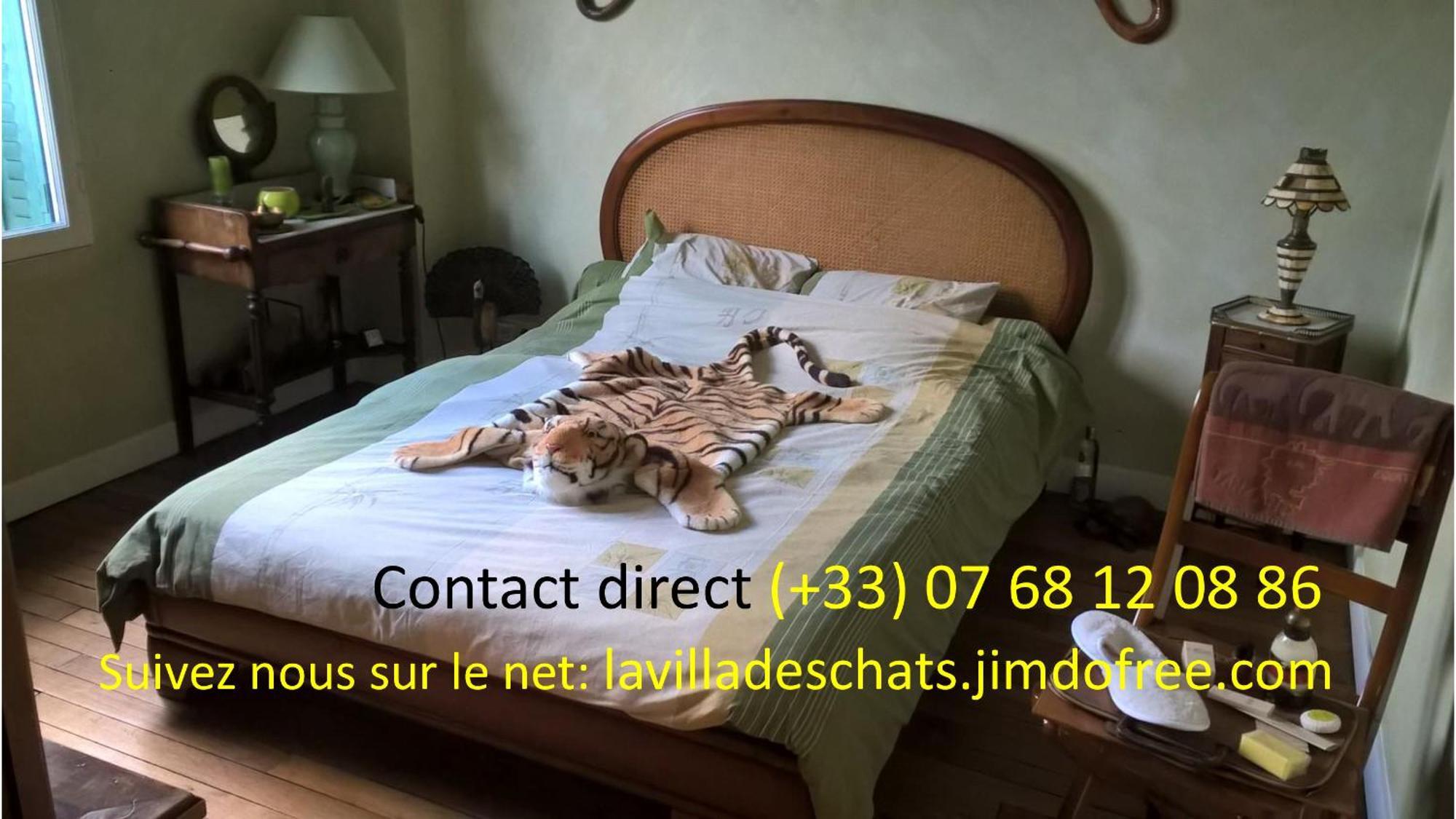 La Villa Des Chats Andresy Exterior photo